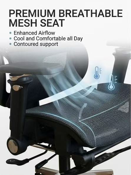Chaise de bureau ergonomique avancée en maille avec soutien lombaire réglable, appui-tête et accoudoirs 3D, Édition Pro (Noir, pp)